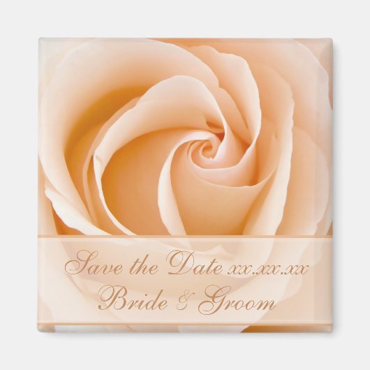 Elegant Cream Rose Save The Date Magnet (Devant)