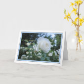 Elegant Daisy Photo Penser à vous Carte de Sympath (Fleur jaune)