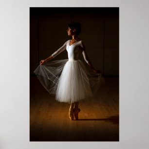 Elegant Dancer Poster