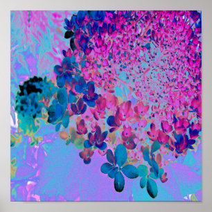 Elegant Dark Blue en Magenta Limelight Hydrangea Poster