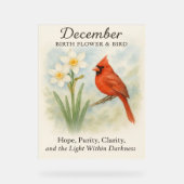 Elegant December Scripture Christian Cardinal  Acryl Bord (Voorkant)