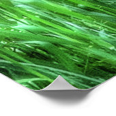 Elegant Doe Vrouw Deer Wildlife Foto Poster (Hoek)