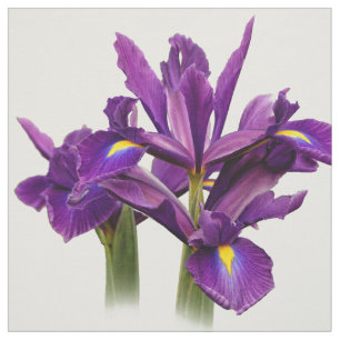 Elegant Dutch Iris Paars Sensation Stof
