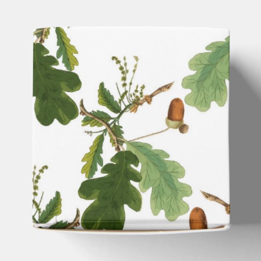 Elegant eikenblad en eikel bedankdoosjes (Bovenkant)