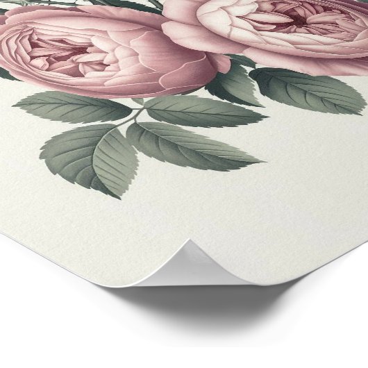 Elegant Engels Blooming Roos Poster (Hoek)