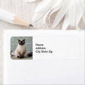 Élégant Étiquette photo de chat de Siamese (En situation)