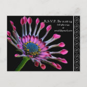 Élégant Faire-part de mariage de marguerite violet (Dos)