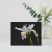 Elegant Floral Crested Iris Shaga Briefkaart (Staand voorkant)