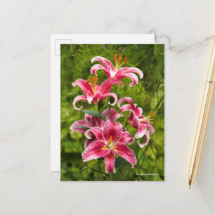 Elegant Floral Medley van Stargazer Oriental Lilie Briefkaart