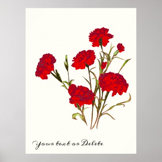  Elegant  Floral Red Carnance Poster (Voorkant)
