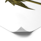 Elegant Floral Roos Poster (Hoek)