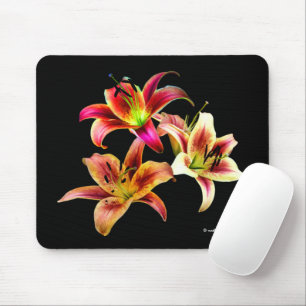 Elegant Floral Yellow Pink Daylilies Flowers Muismat