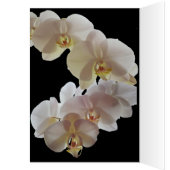 ELEGANT FLOWER VALENTIJN card (Binnen (Links))
