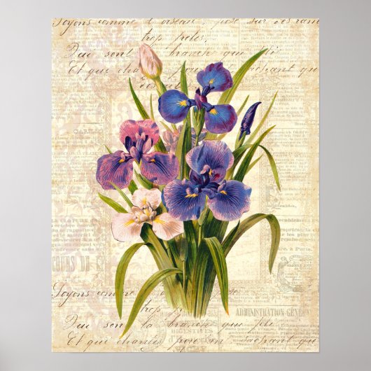 Elegant Frans Roze en Paarse Irises Poster (Voorkant)