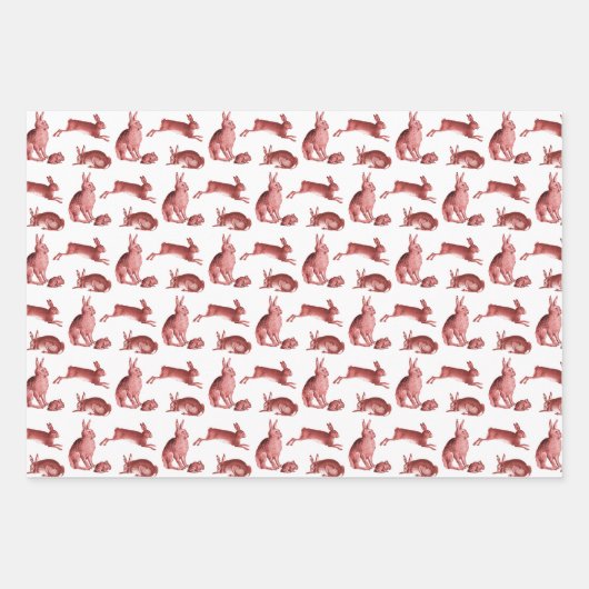 Elegant  Frans Toile Fox Hare County Inpakpapier Vel (Voorkant 2)