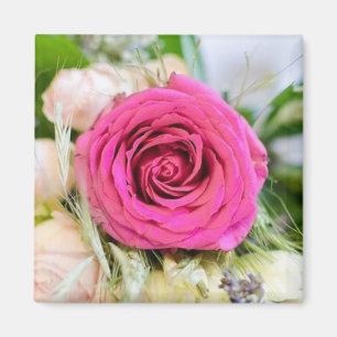Elegant Fuchsia Pink Garden Roos Flower Magneet
