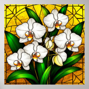 Elegant Gebrandschilderde Witte Orchideeën Poster