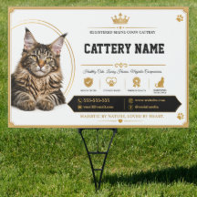 Elegant gepersonaliseerd Maine Coon fokkerij tuinb