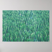 Elegant Green Pine Trees Artwork | POSTER (Voorkant)