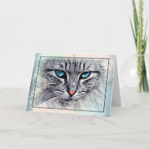 Elegant grijs en wit katje met blauwe ogen