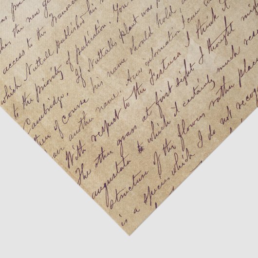 Elegant handgeschreven Letter-script Tissuepapier (Detail)