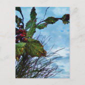 Elegant Holly Kerstmis, blauwe hemel Feestdagenkaart (Voorkant)