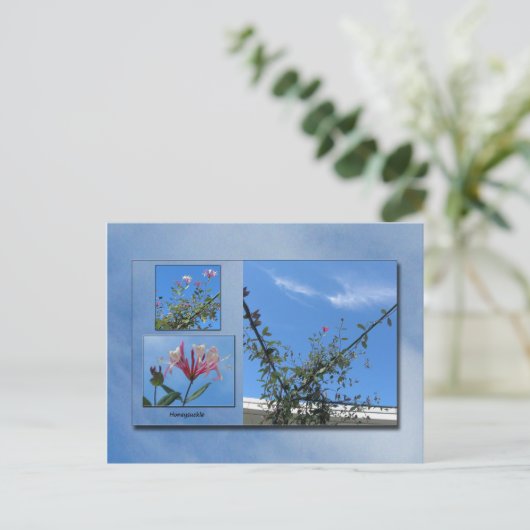 Elegant Honeysuckle Briefkaart (Staand voorkant)