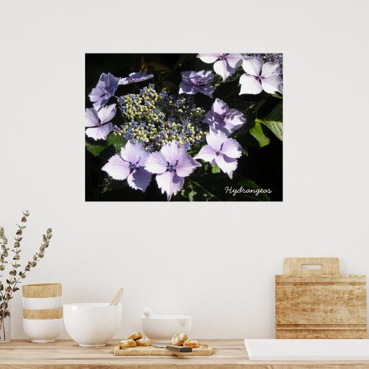 Elegant Hydrangeas Poster (Keuken)