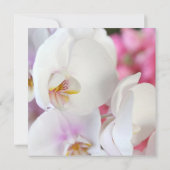 Elégant Invitation blanc orchidée de luxe (Dos)