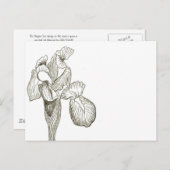 Elegant Iris Briefkaart (Voorkant / Achterkant)