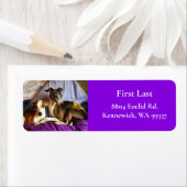 Elegant Italy Greyhound Return Address Labels (Insitu)