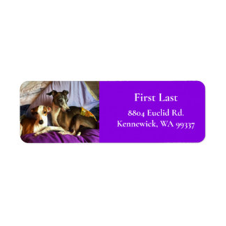 Elegant Italy Greyhound Return Address Labels