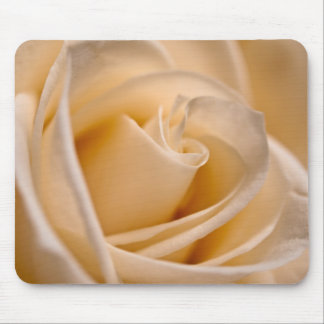Elegant Ivory Roos Muismat