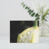 Elegant Ivory Tulip with Dew Briefkaart (Staand voorkant)