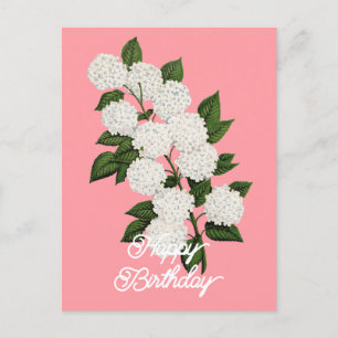 Elegant  Japans Sneeuwbal Happy Birthday Briefkaart