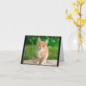 Elegant Kitty Notecard Kaart (Gele Bloem)