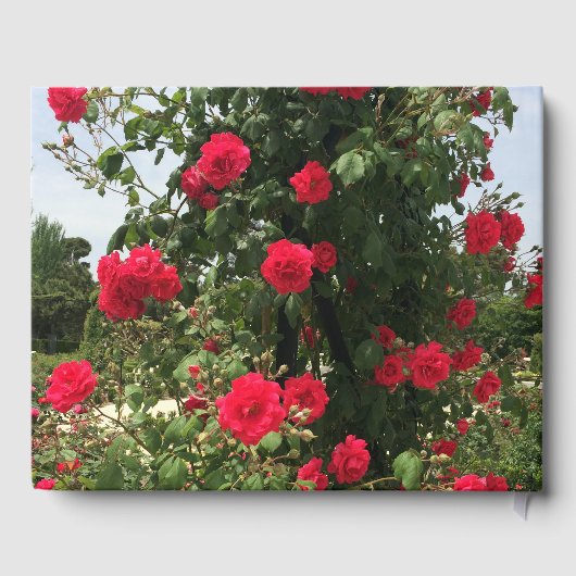 Elegant-klimroodrozen Gastenboek (Achterkant)