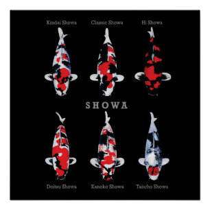 Elegant Koi Fish Poster – Tijdloos & Artistiek Dec Perfect Poster