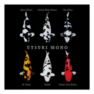 Elegant Koi Fish Poster – Tijdloos & Artistiek Dec Perfect Poster