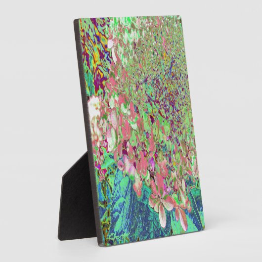 Elegant Koraal en Chartreuse Limelight Hydrangea Fotoplaat (Zijkant)