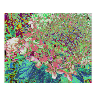 Elegant Koraal en Chartreuse Limelight Hydrangea Perfect Poster