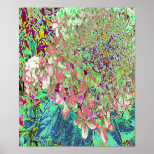 Elegant Koraal en Chartreuse Limelight Hydrangea Poster