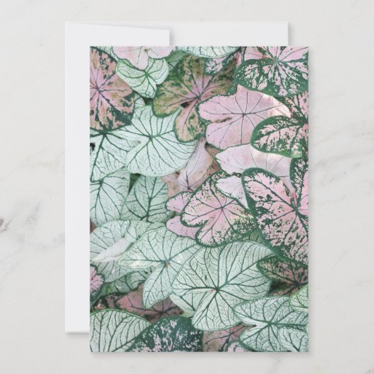 Elegant Leaf, Housewarming Party Invite Aankondiging (Achterkant)