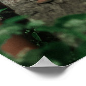 Elegant Let's vieren de Afstuderen 2 foto Poster (Hoek)