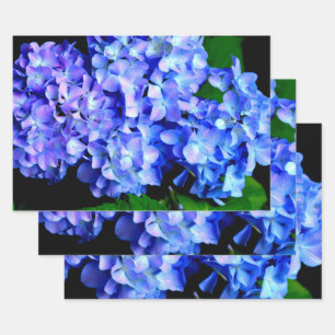 Elegant licht paarse magenta bloemenhortensia inpakpapier vel