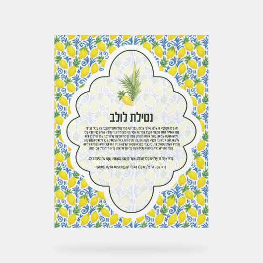 Élégant Lulav (Recto)