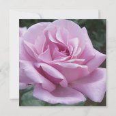 Elégant luxe violet Rose mariage Invitation (Dos)