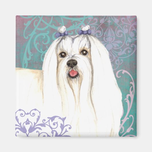 Elegant Maltese Magneet (Voorkant)