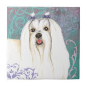 Elegant Maltese Tegeltje (Voorkant)