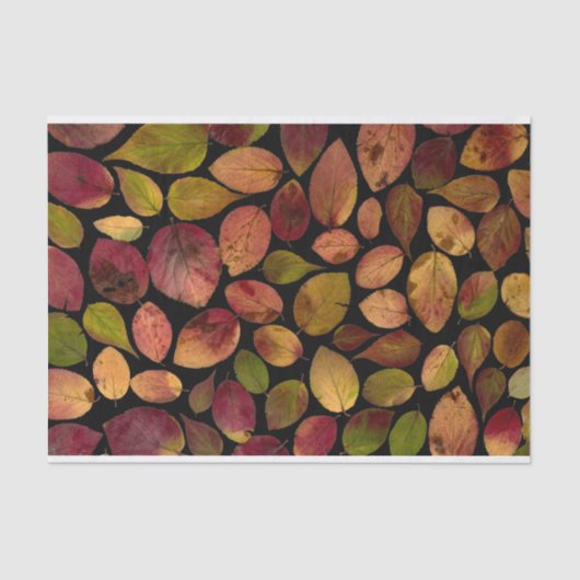 Elegant Maple Leaves Autumn Herfst Pattern Tissuepapier (Voorkant)